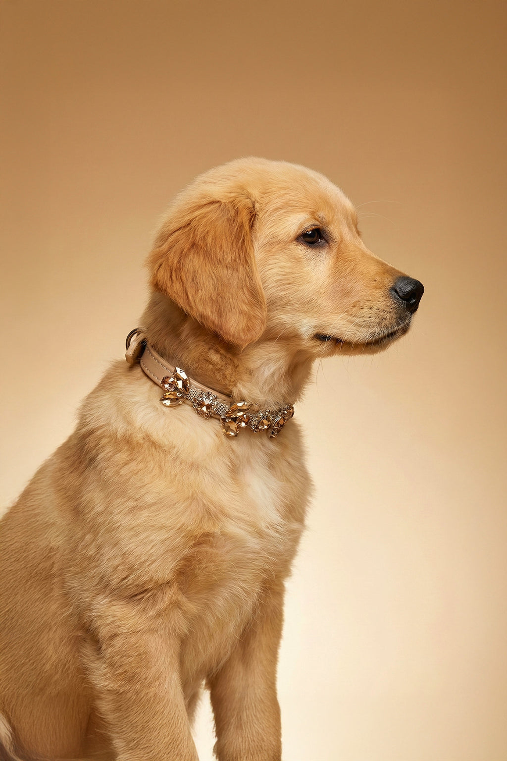 NOBLEHOUND Signature Diamond Leather Collar