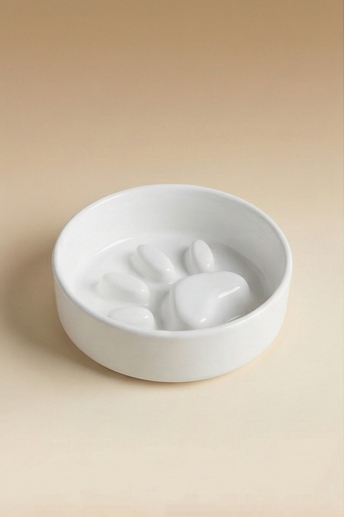 RoyalPaw Slow Feeder Ceramic Pet Bowl