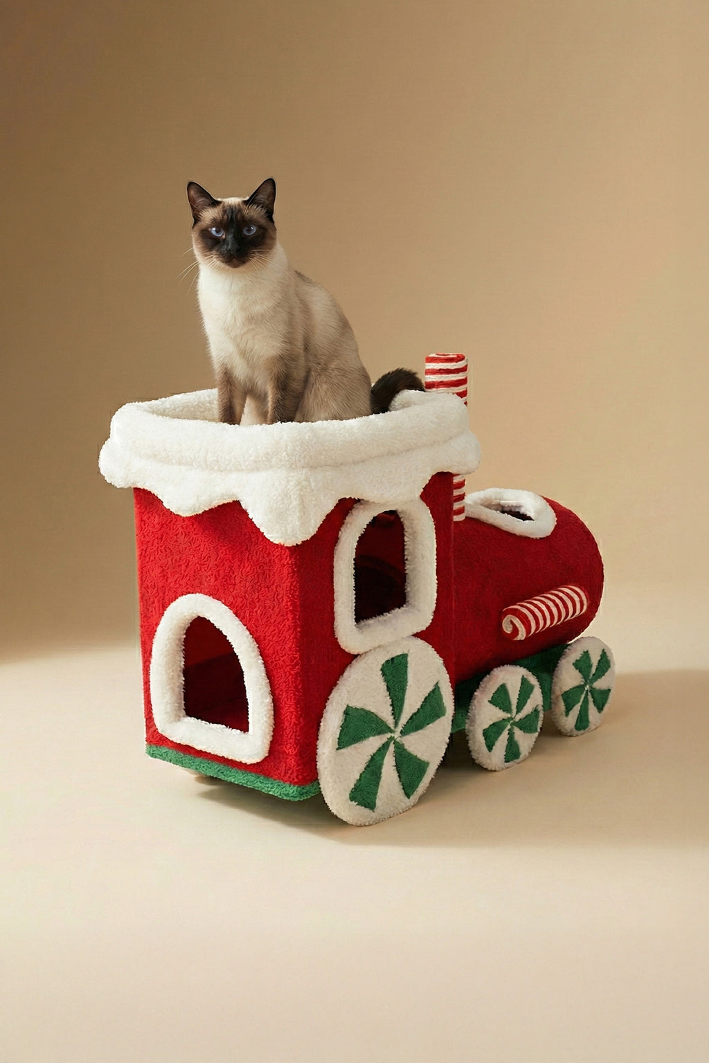 Meow Expres Cat Bed & Play Set