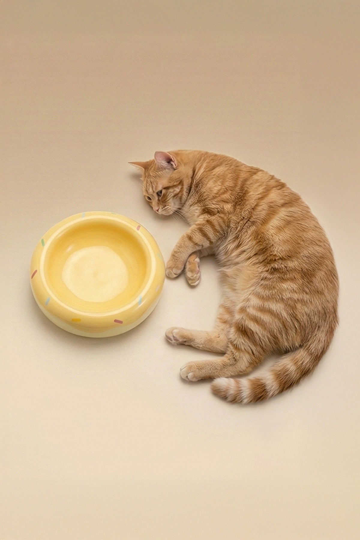 Honey Donut Slow Feeder Ceramic Pet Bowl