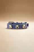 Blue Pet Collar