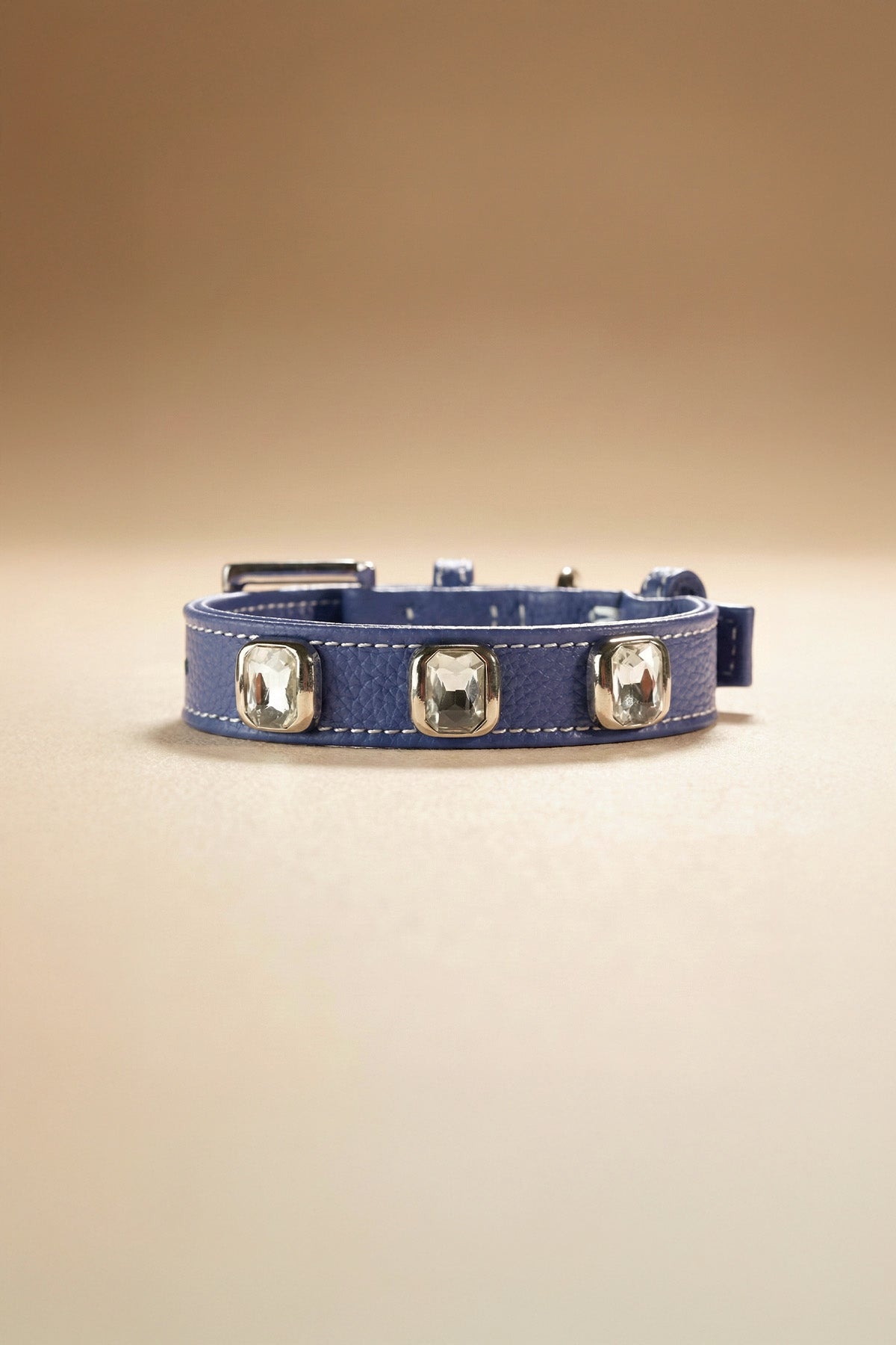 Blue Pet Collar