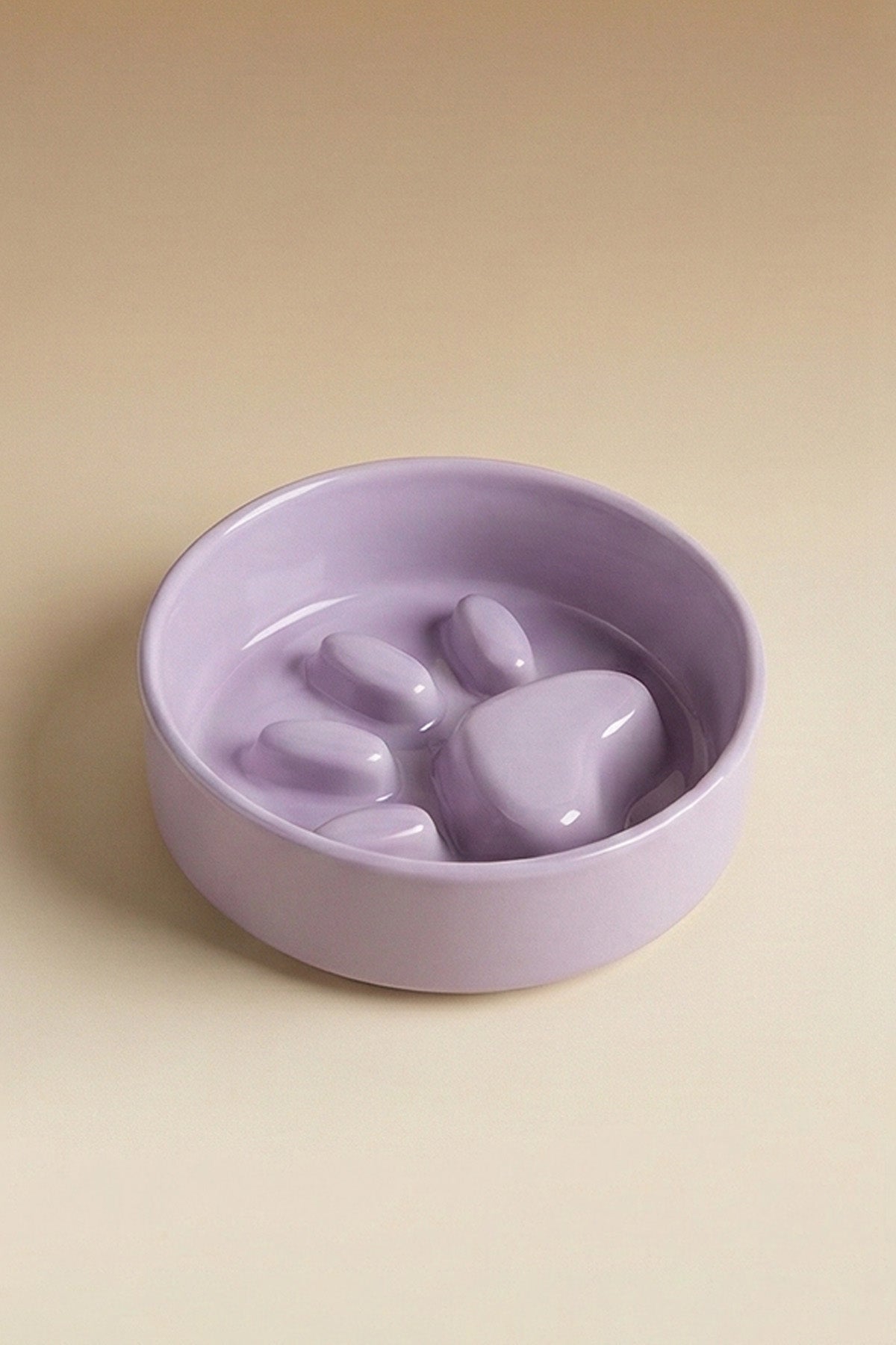RoyalPaw Slow Feeder Ceramic Pet Bowl
