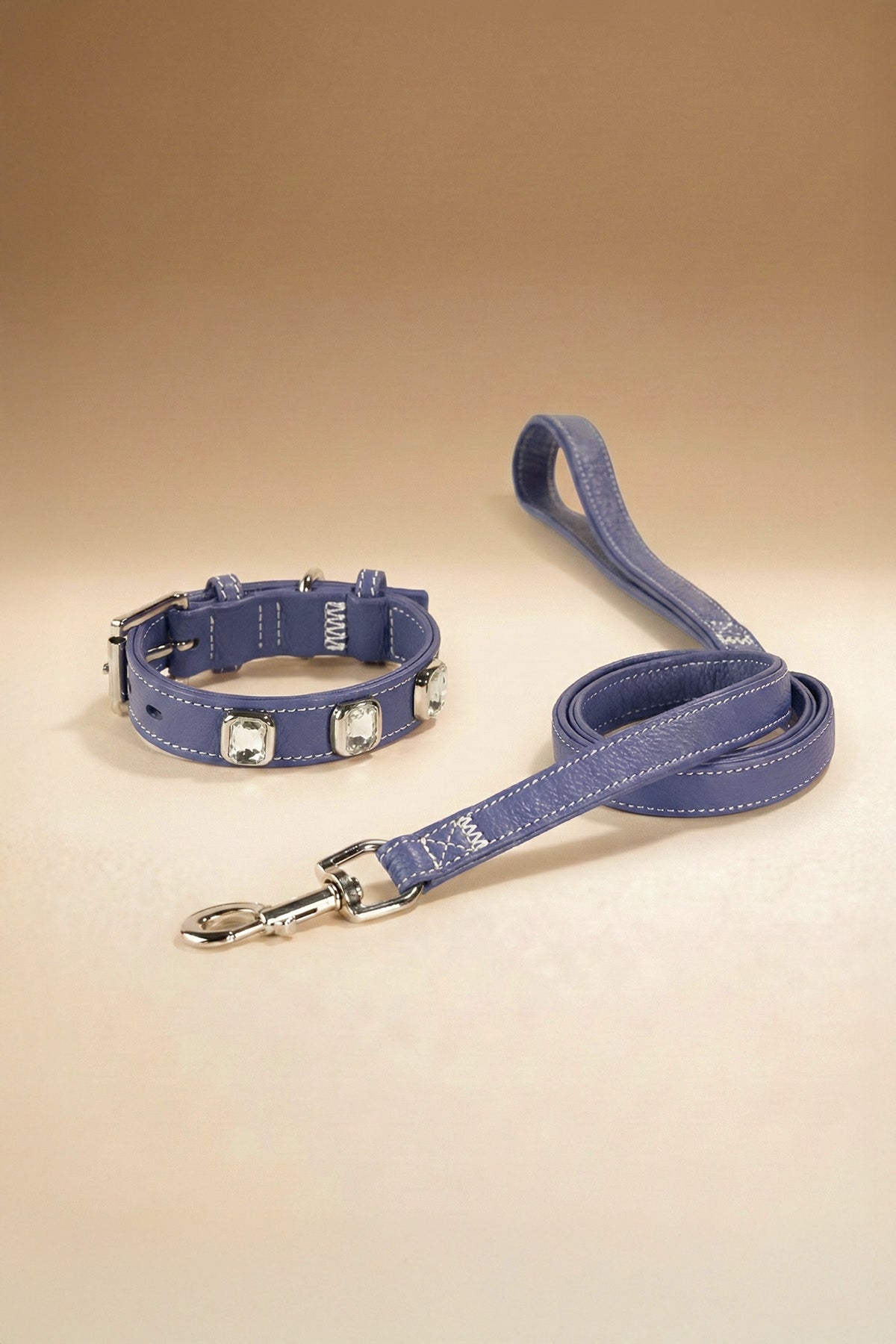Blue Pet Collar
