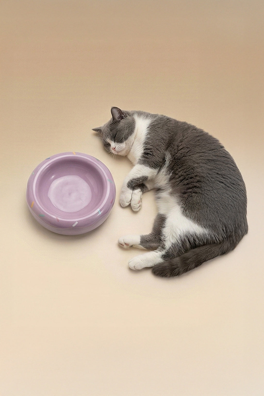 Honey Donut Slow Feeder Ceramic Pet Bowl