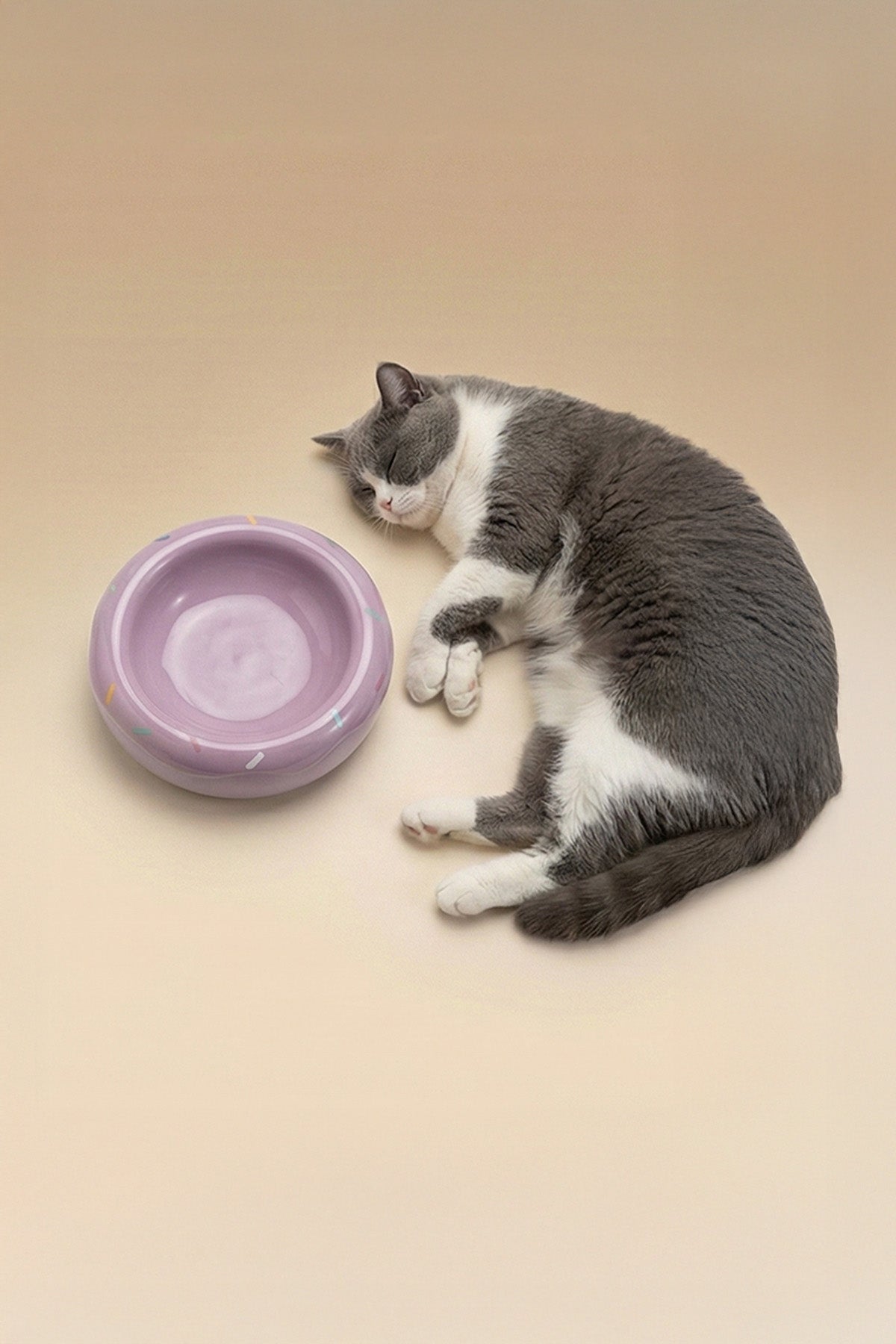 Honey Donut Slow Feeder Ceramic Pet Bowl