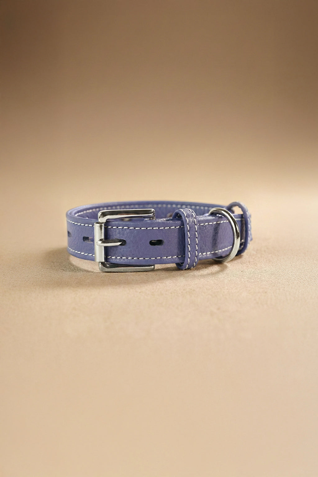 Blue Pet Collar