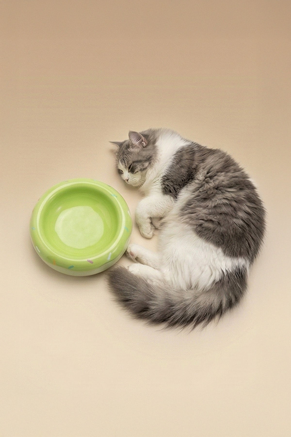Honey Donut Slow Feeder Ceramic Pet Bowl