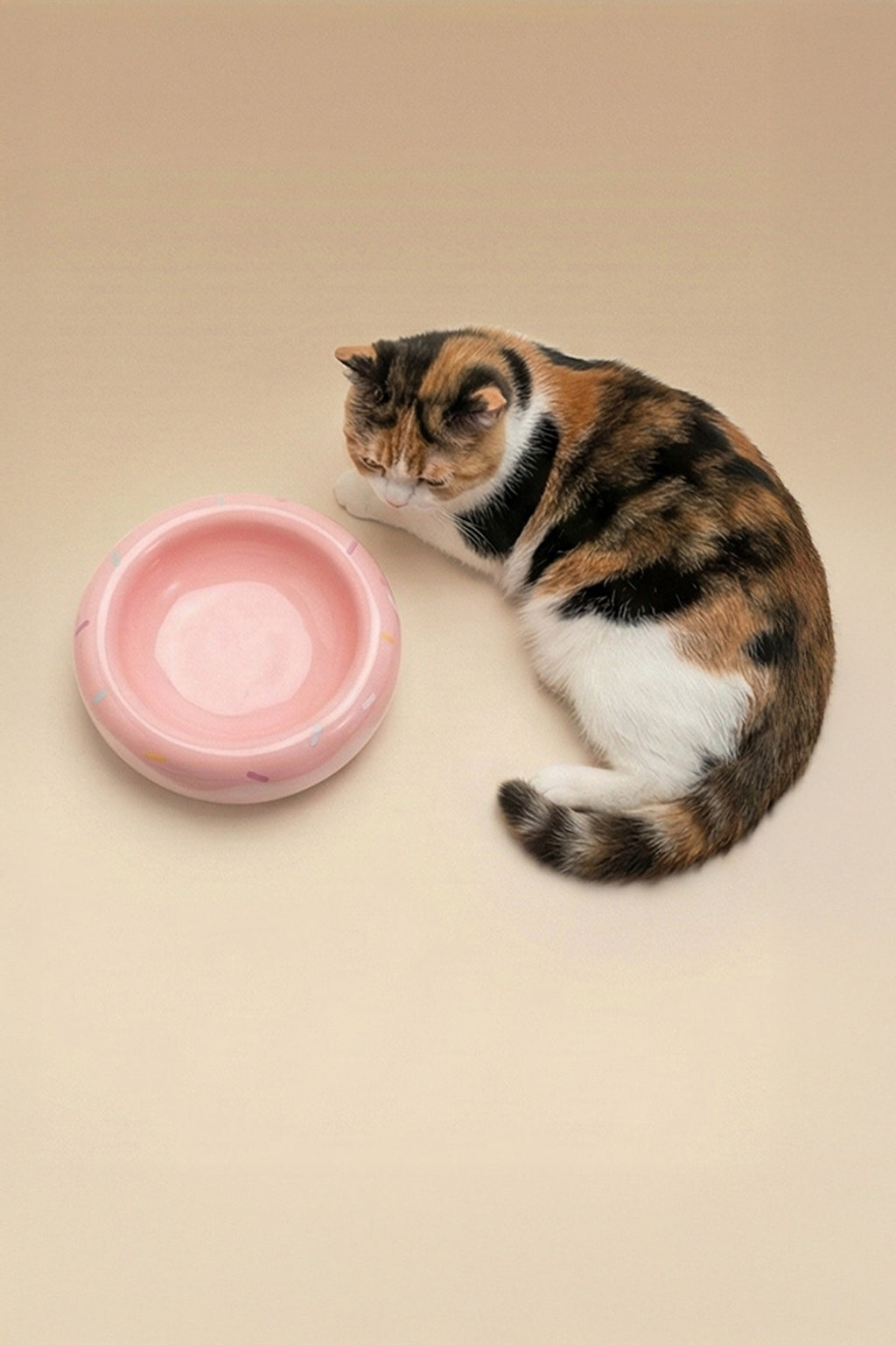 Honey Donut Slow Feeder Ceramic Pet Bowl