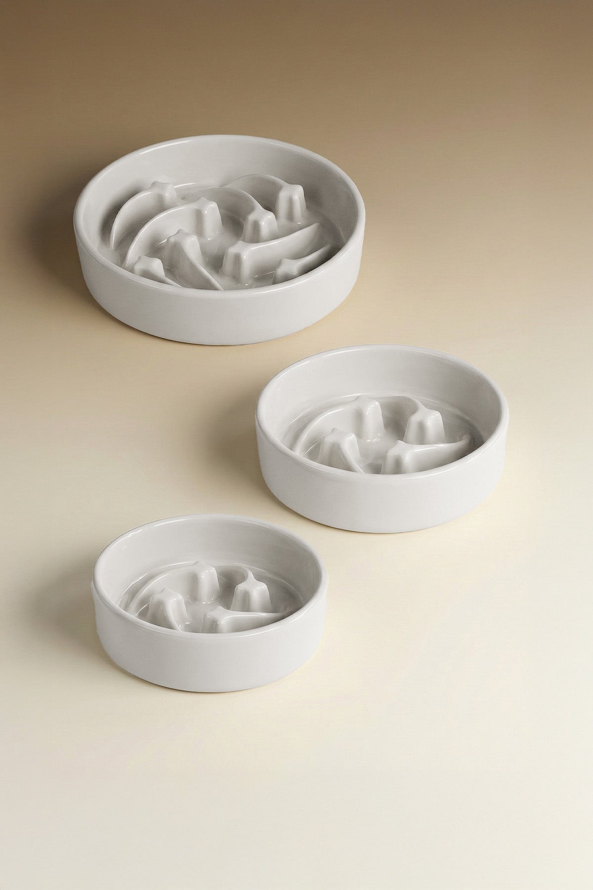 Shooting Star Slow Feeder Ceramic Pet Bowl