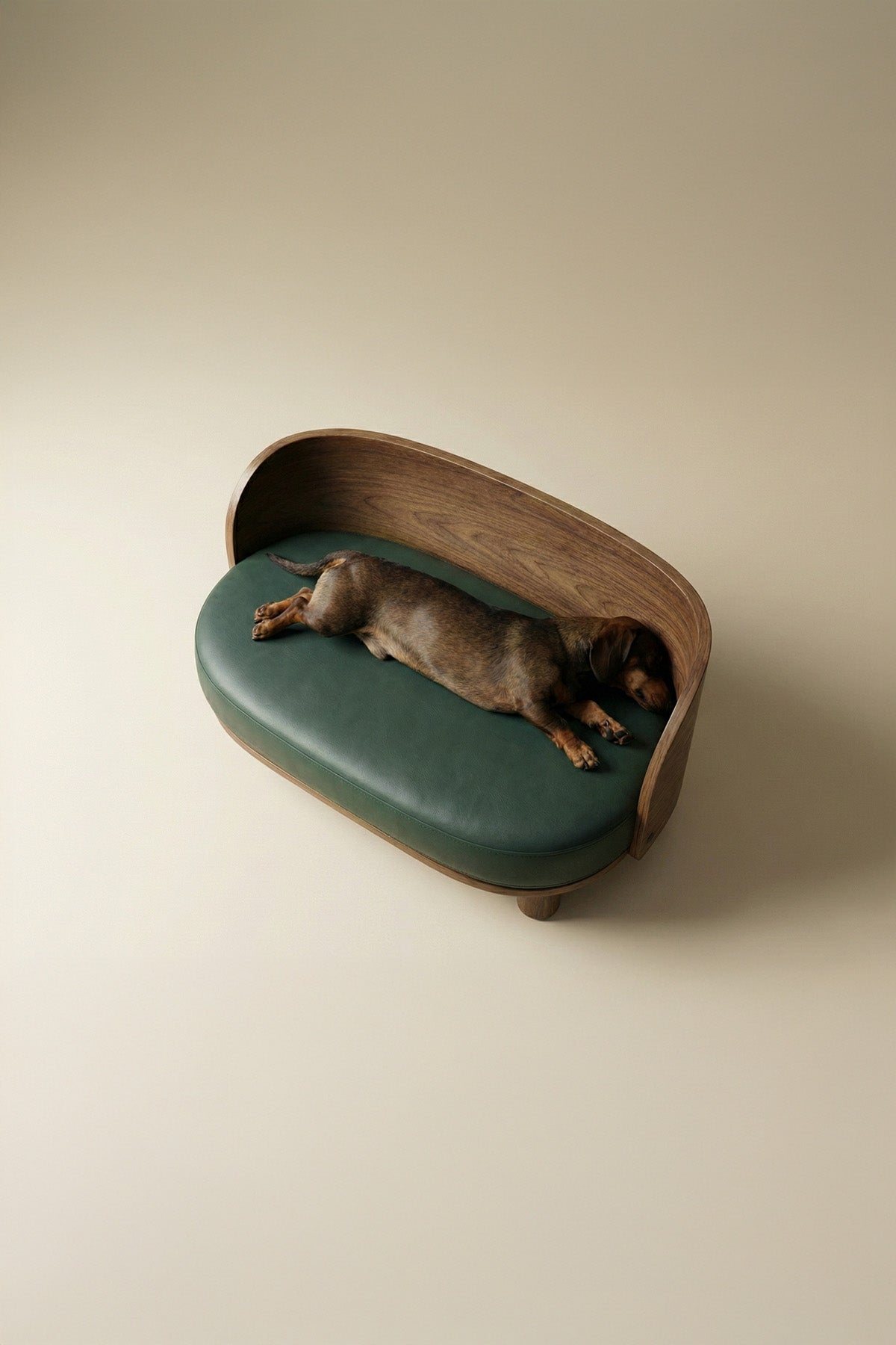 AMI Curve Pet Sofa