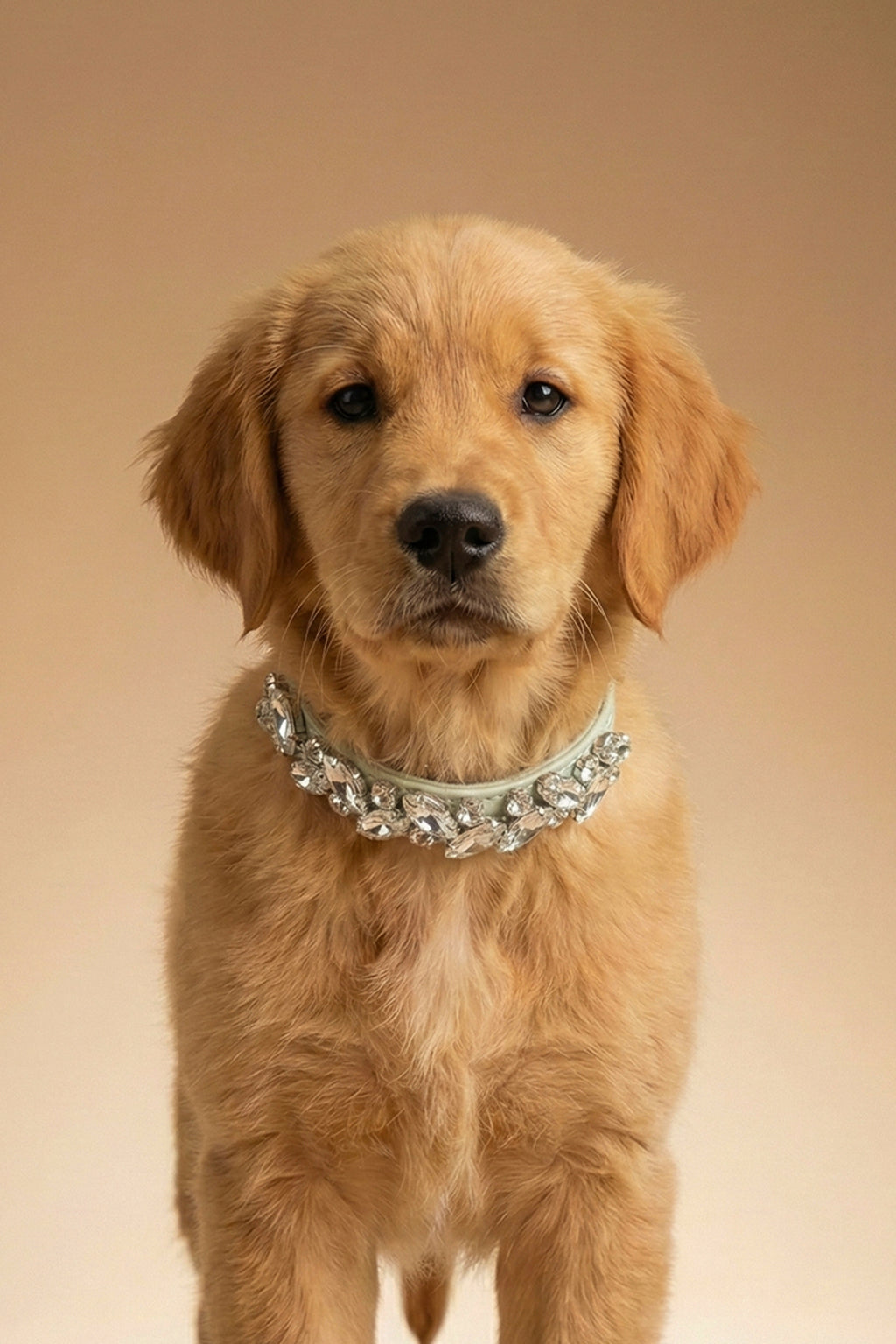 NOBLEHOUND Signature Diamond Leather Collar