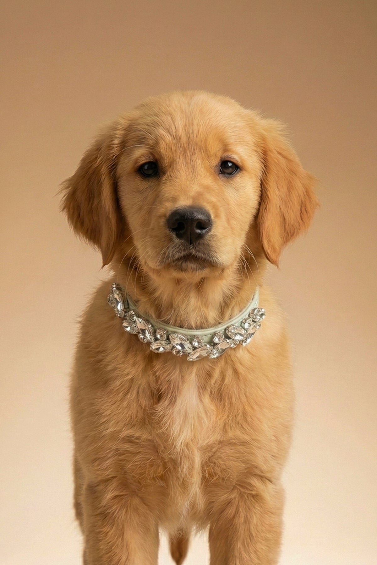 NOBLEHOUND Signature Diamond Leather Collar