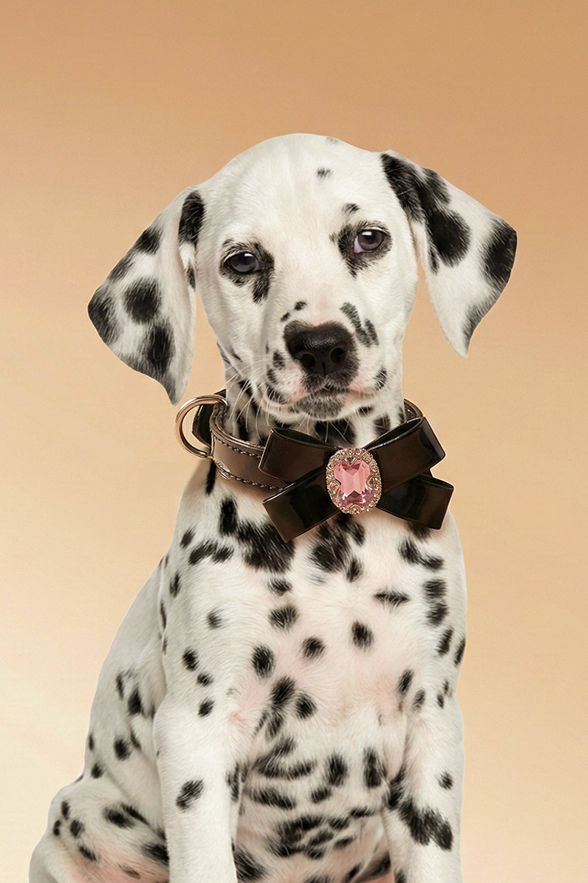 CAVALIER Heritage Leather Collar