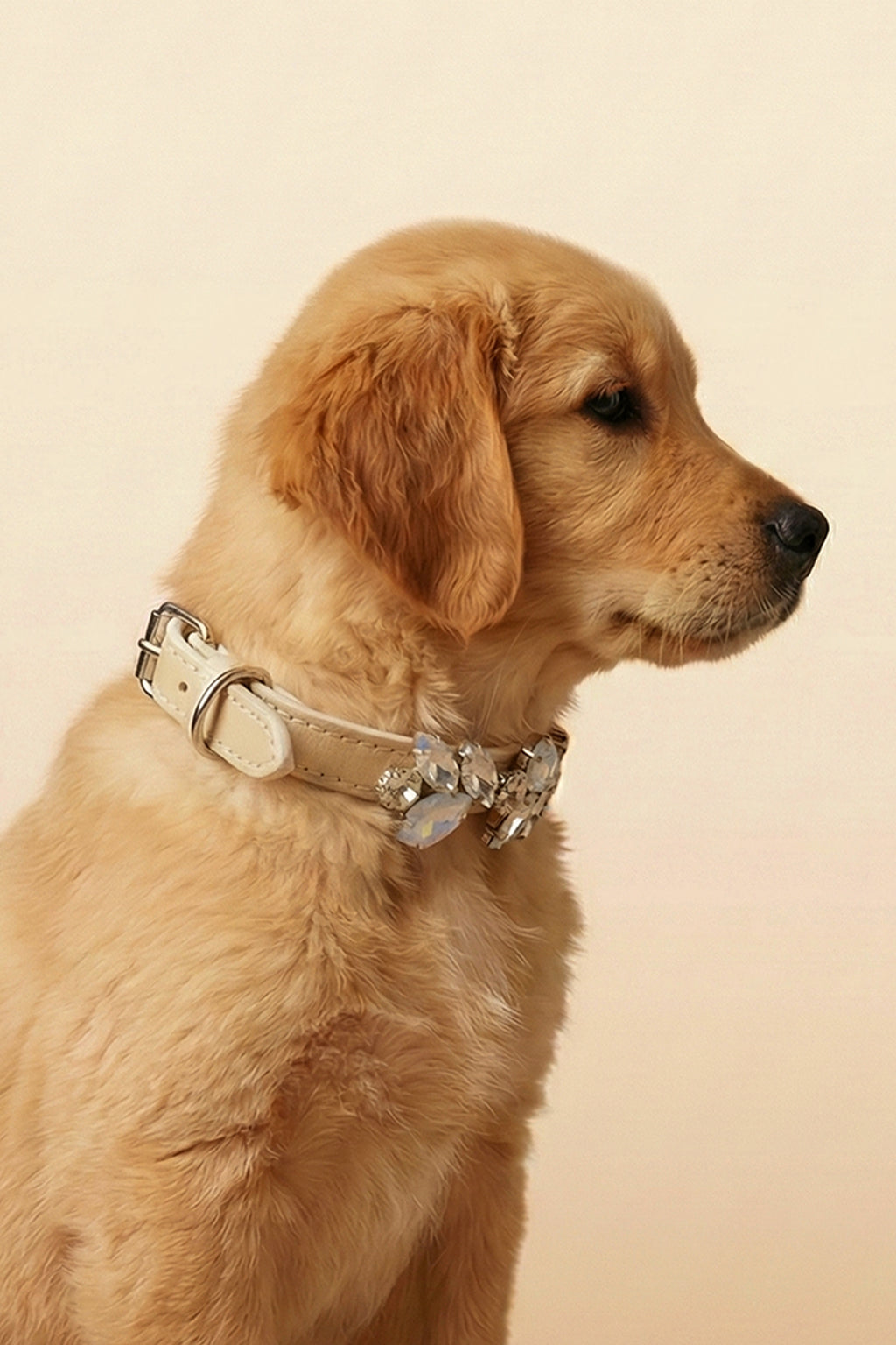 NOBLEHOUND Signature Diamond Leather Collar