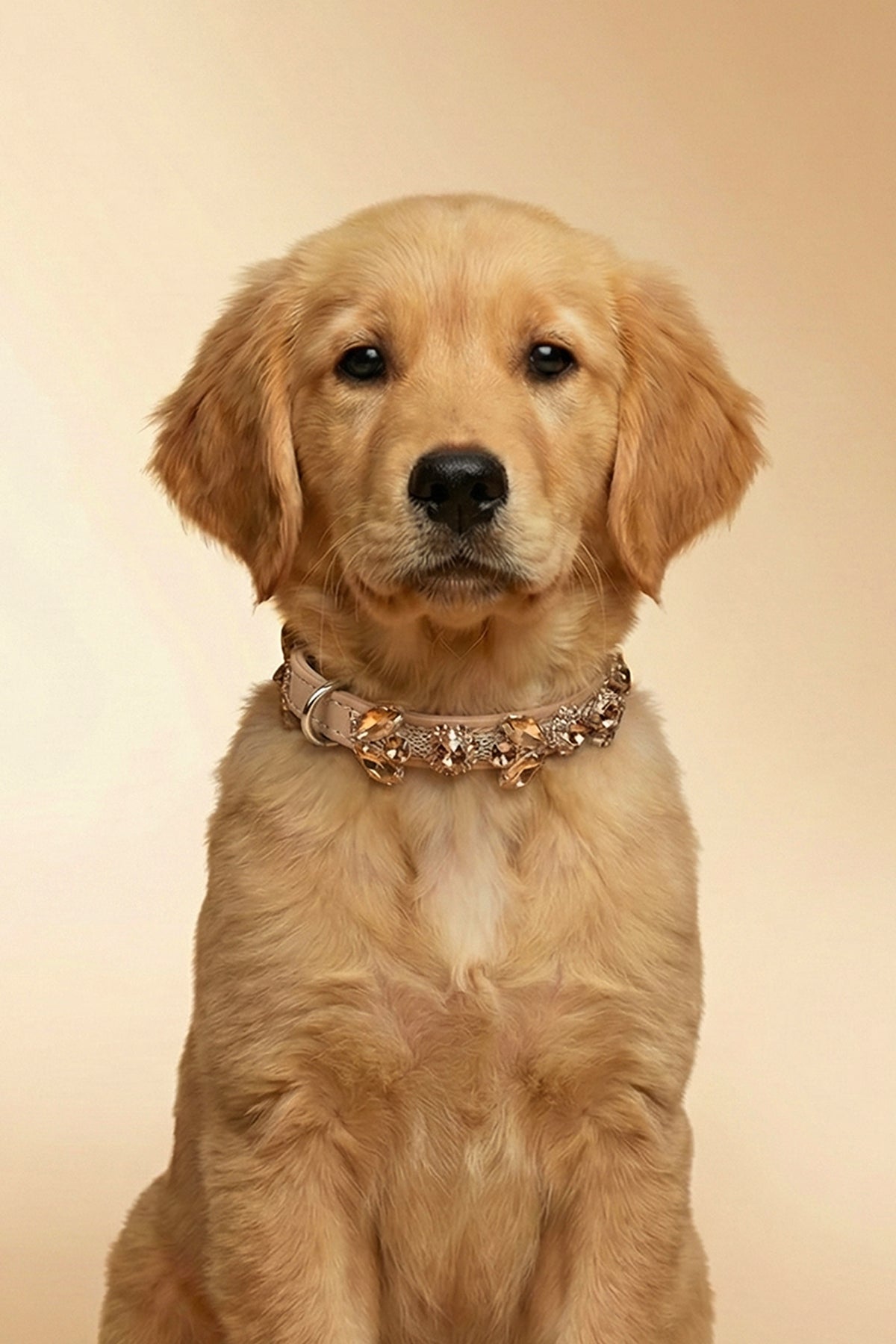 NOBLEHOUND Signature Diamond Leather Collar