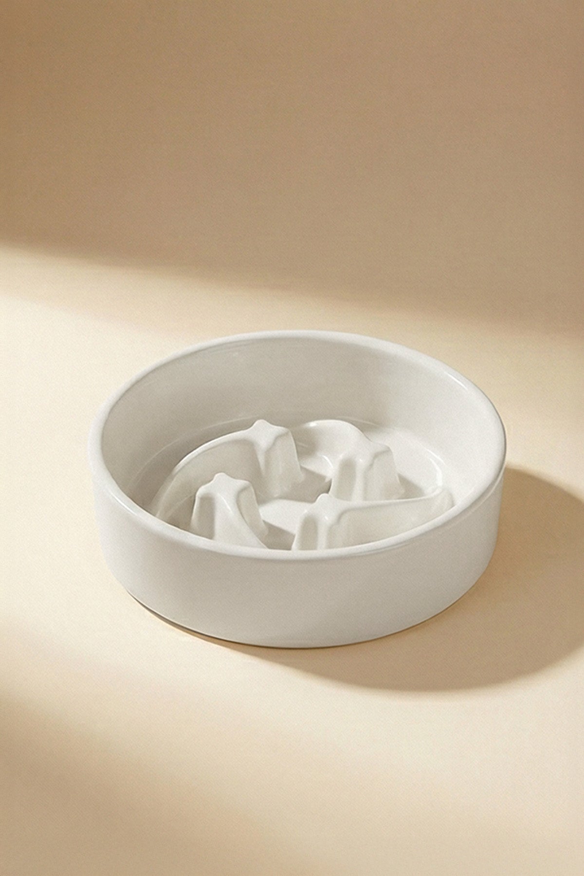 Shooting Star Slow Feeder Ceramic Pet Bowl