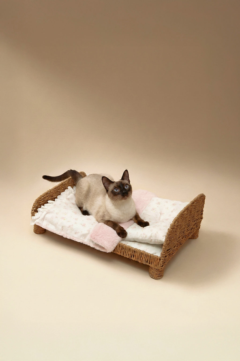 Designer Minimalist Rattan Pet Bed