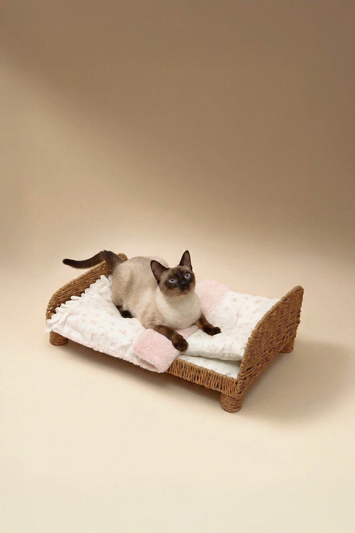 Designer Minimalist Rattan Pet Bed