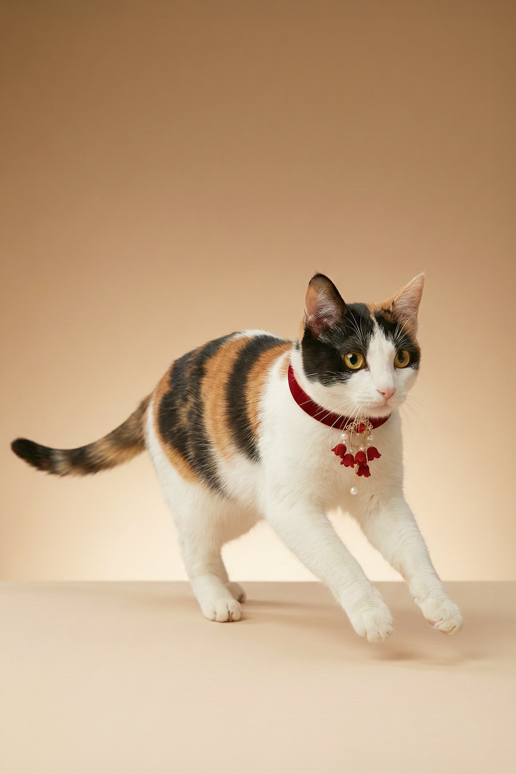 Aurelia Collar