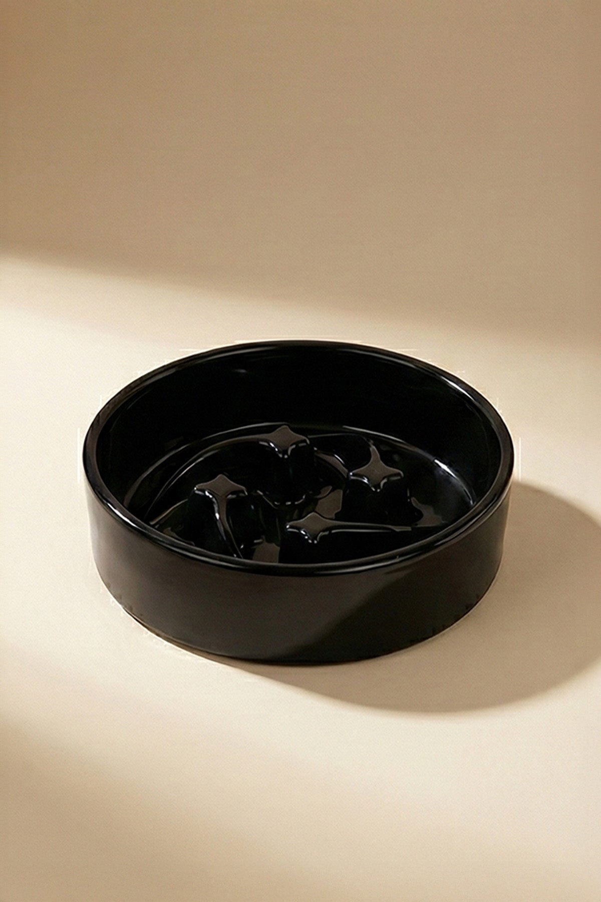 Shooting Star Slow Feeder Ceramic Pet Bowl