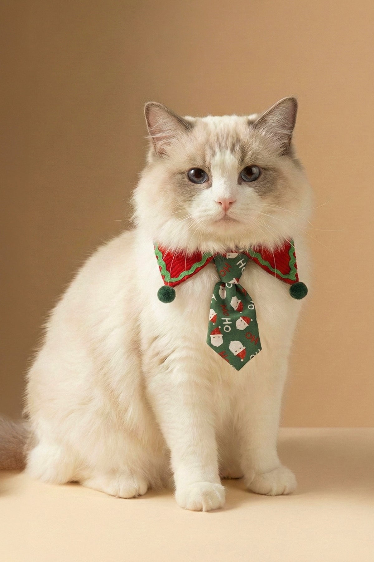 Merry Argyle  Collar