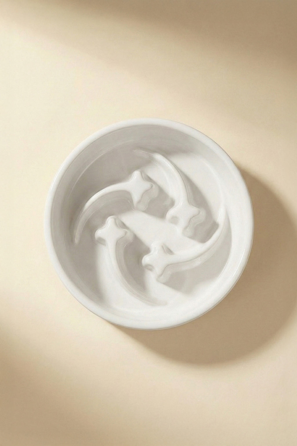 Shooting Star Slow Feeder Ceramic Pet Bowl