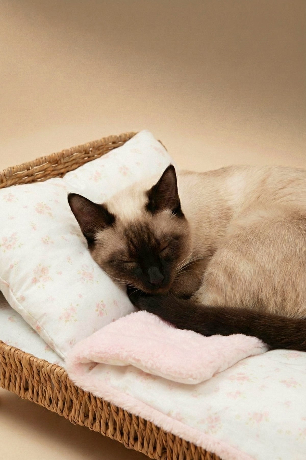 Designer Minimalist Rattan Pet Bed
