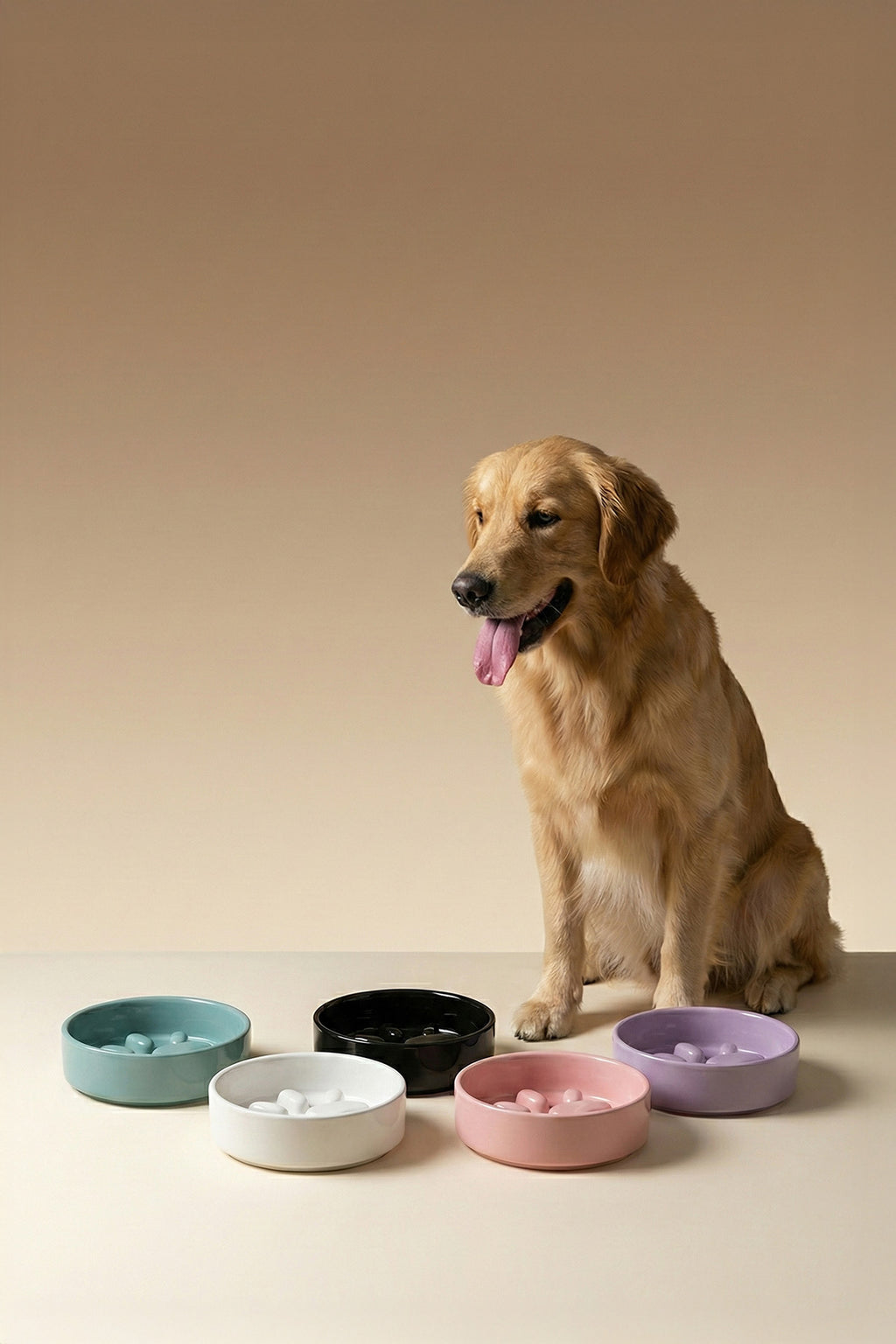 RoyalPaw Slow Feeder Ceramic Pet Bowl