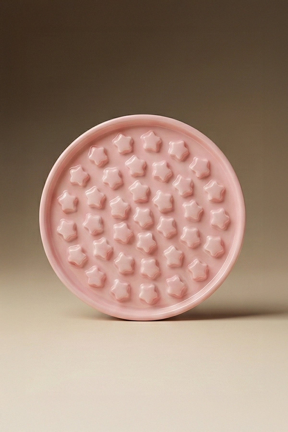 Star Slow Feeder Ceramic Pet Bowl