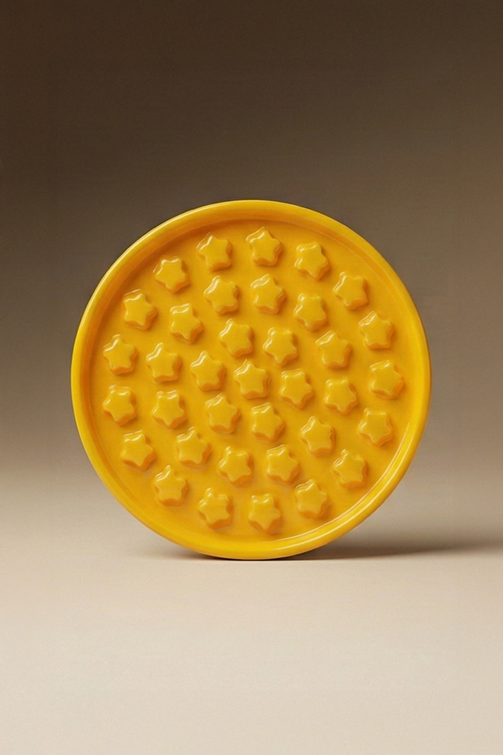 Star Slow Feeder Ceramic Pet Bowl