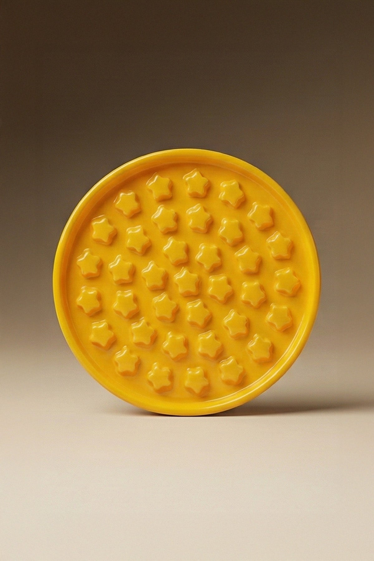 Star Slow Feeder Ceramic Pet Bowl