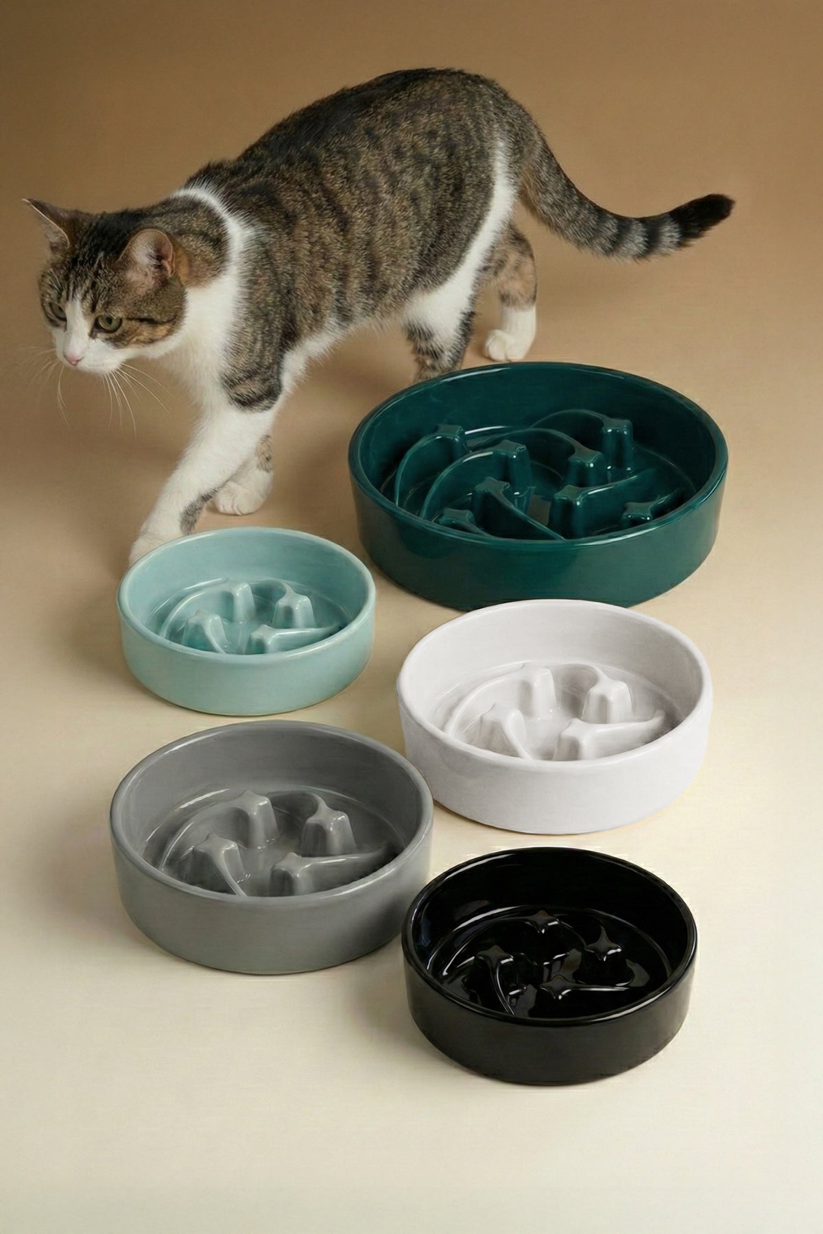 Shooting Star Slow Feeder Ceramic Pet Bowl
