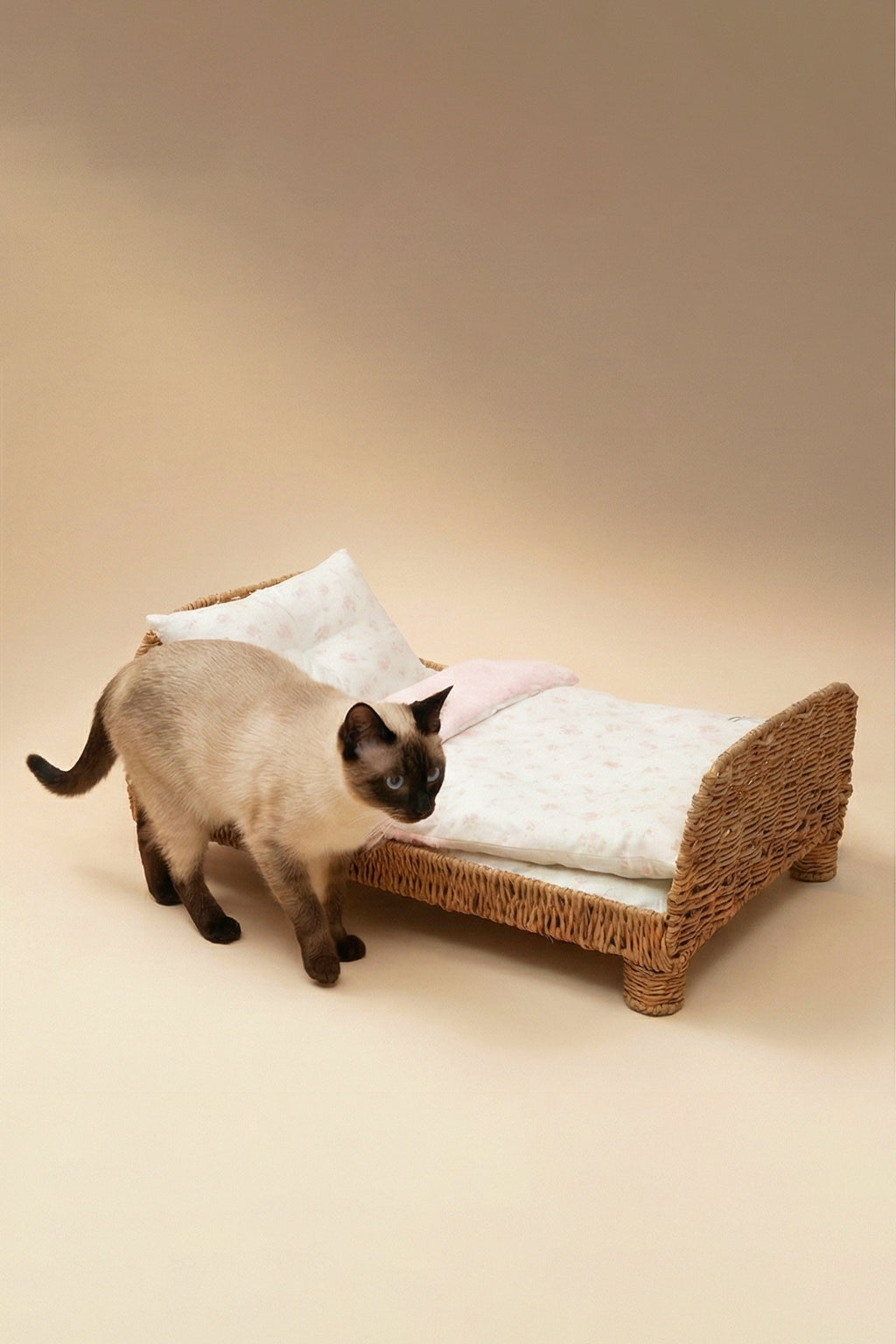 Designer Minimalist Rattan Pet Bed