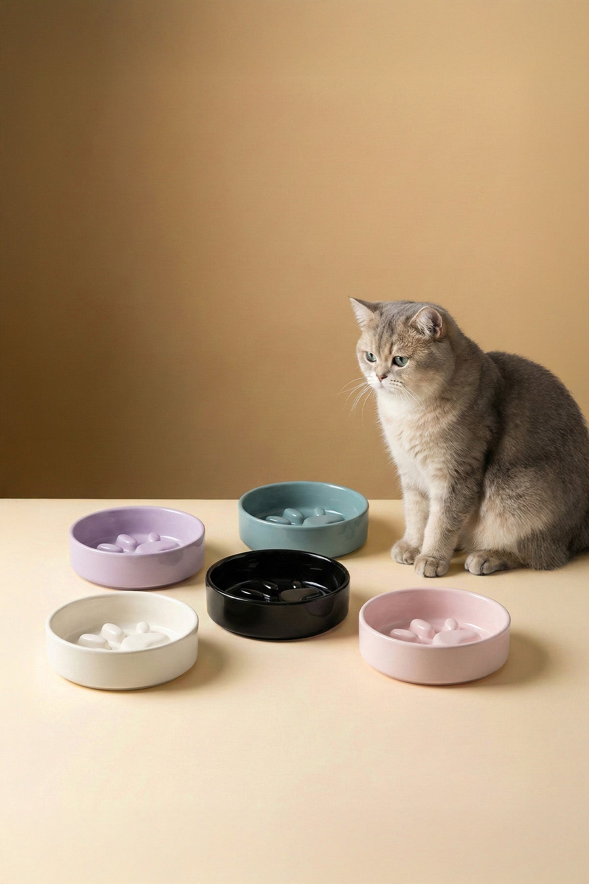 RoyalPaw Slow Feeder Ceramic Pet Bowl