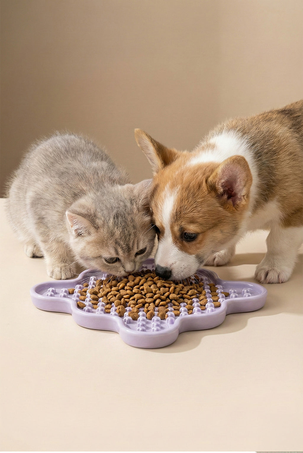 Cream Star Slow Feeder Ceramic Pet Bowl