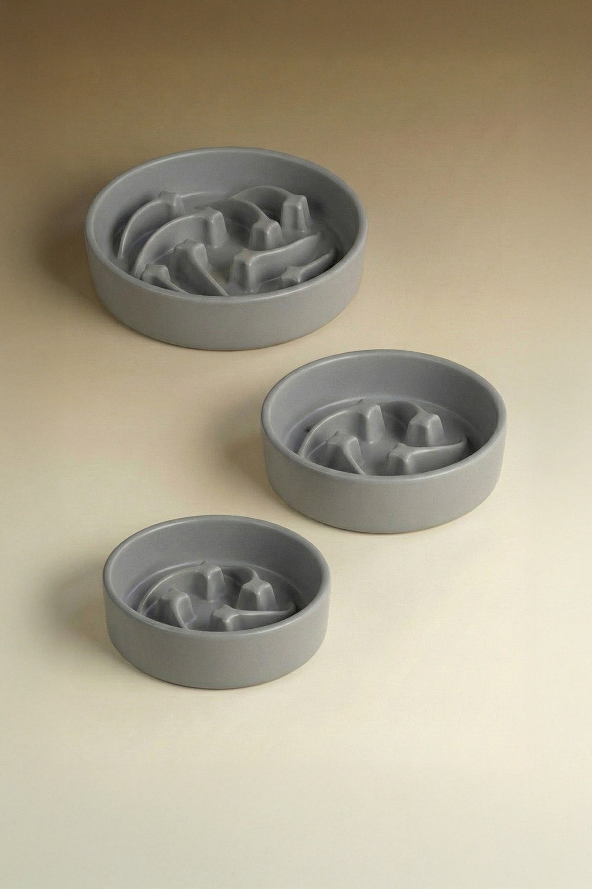 Shooting Star Slow Feeder Ceramic Pet Bowl