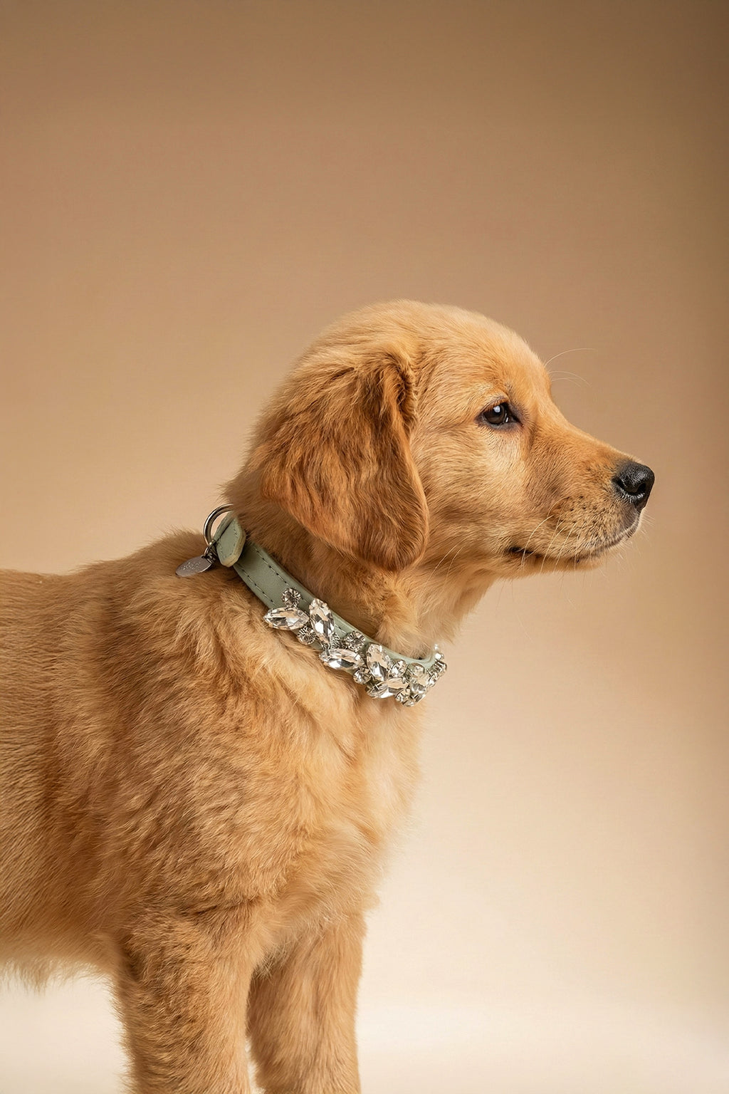 NOBLEHOUND Signature Diamond Leather Collar