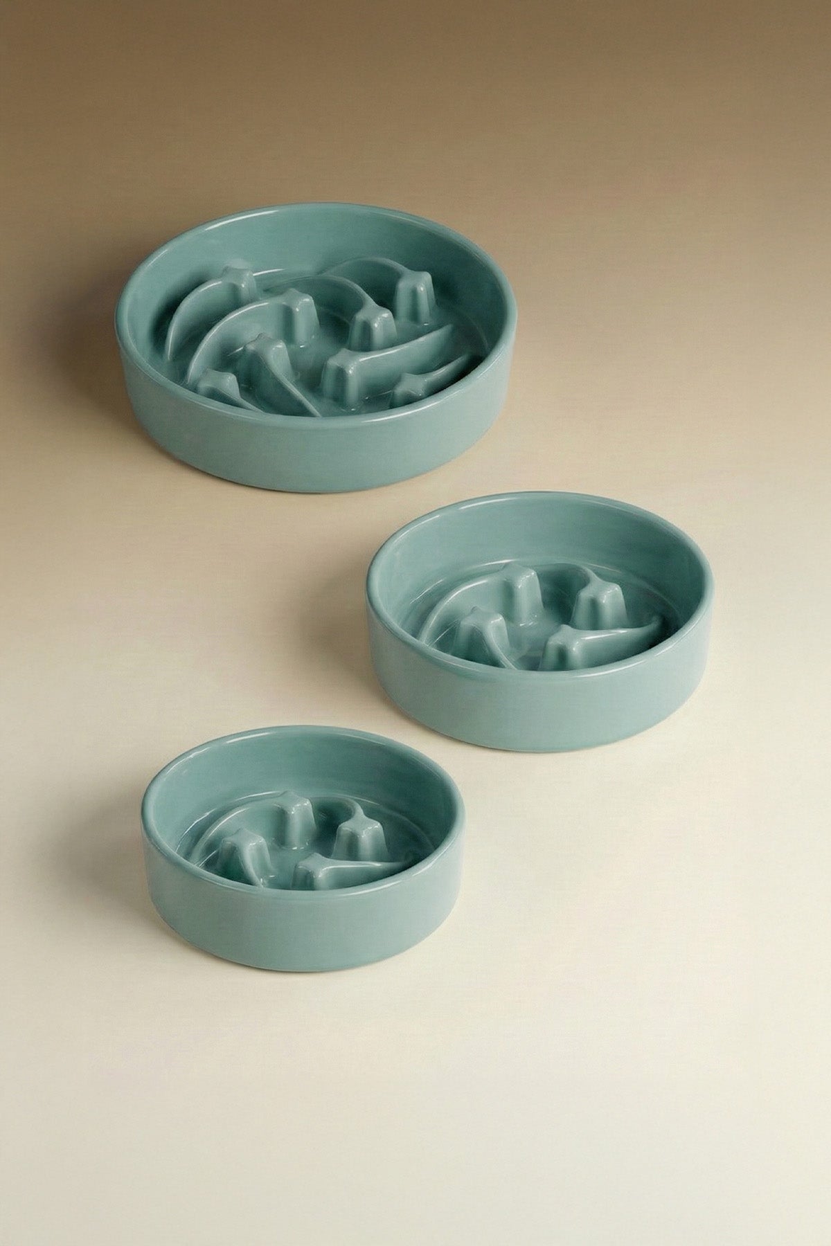 Shooting Star Slow Feeder Ceramic Pet Bowl