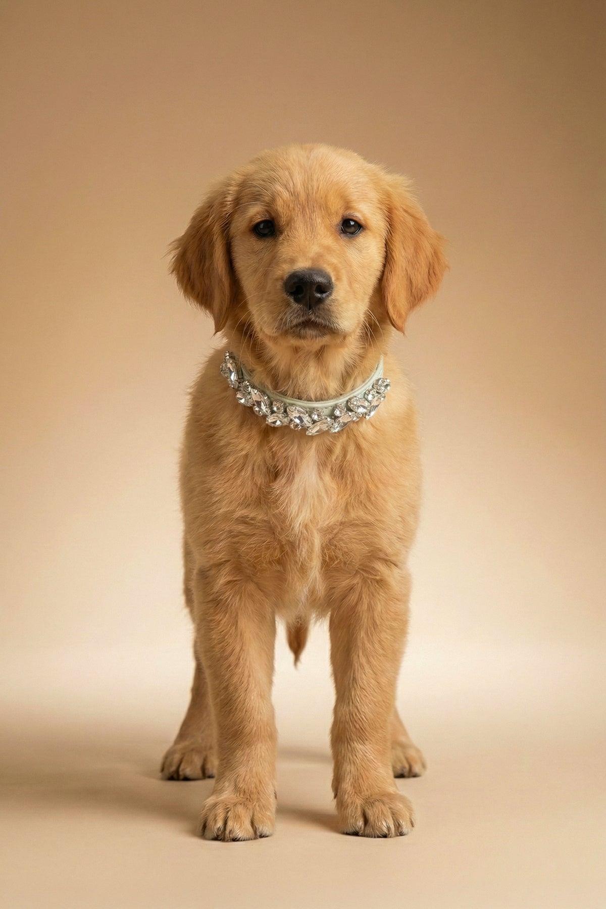 NOBLEHOUND Signature Diamond Leather Collar