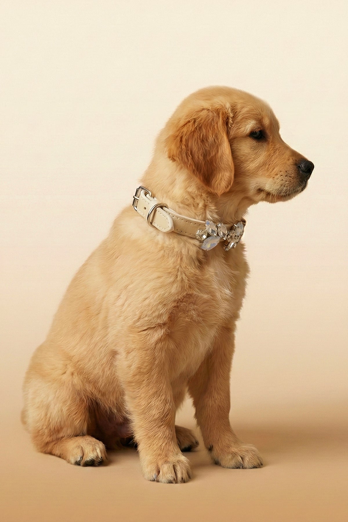 NOBLEHOUND Signature Diamond Leather Collar