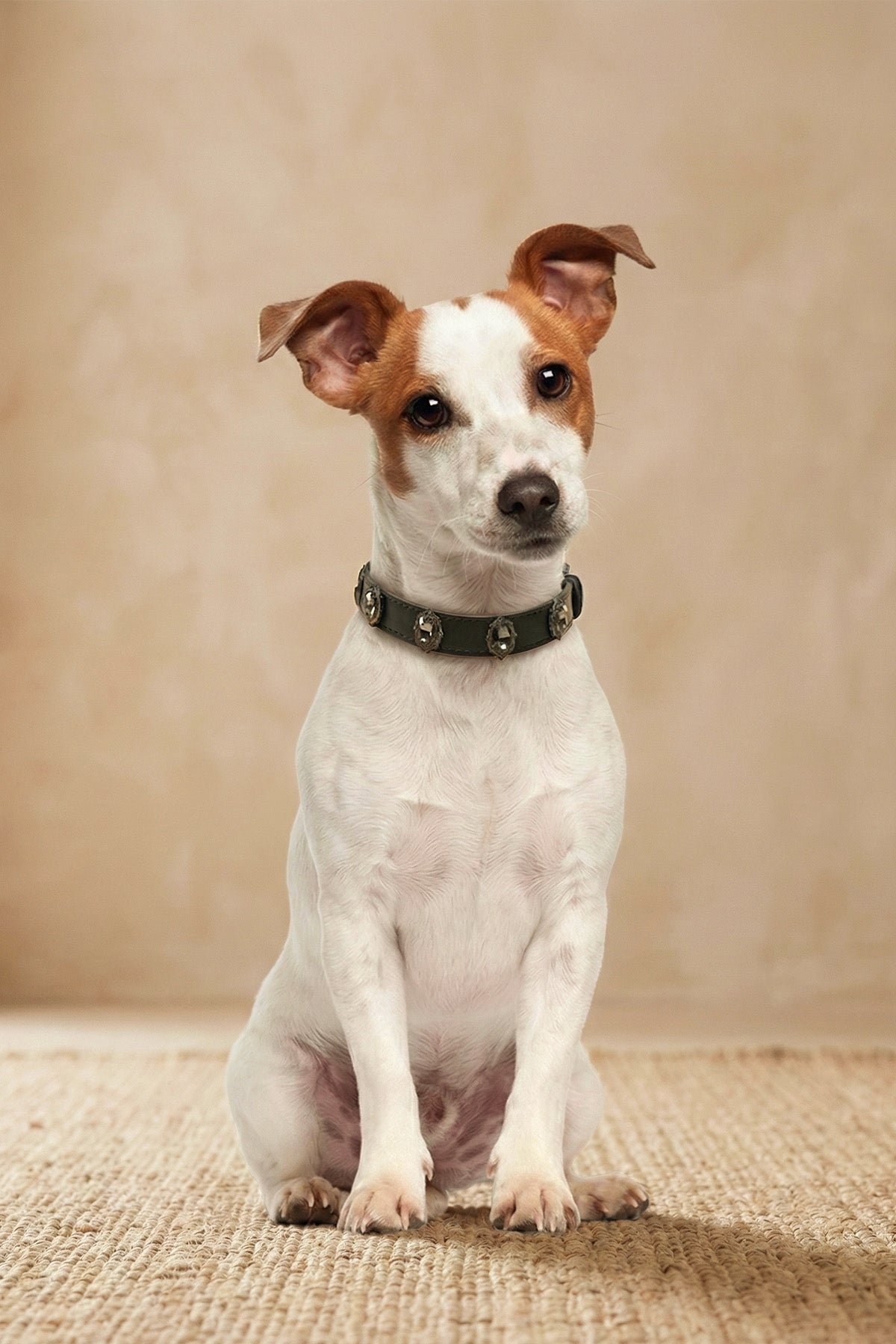 ATELIER Signature  Diamond Leather Collar