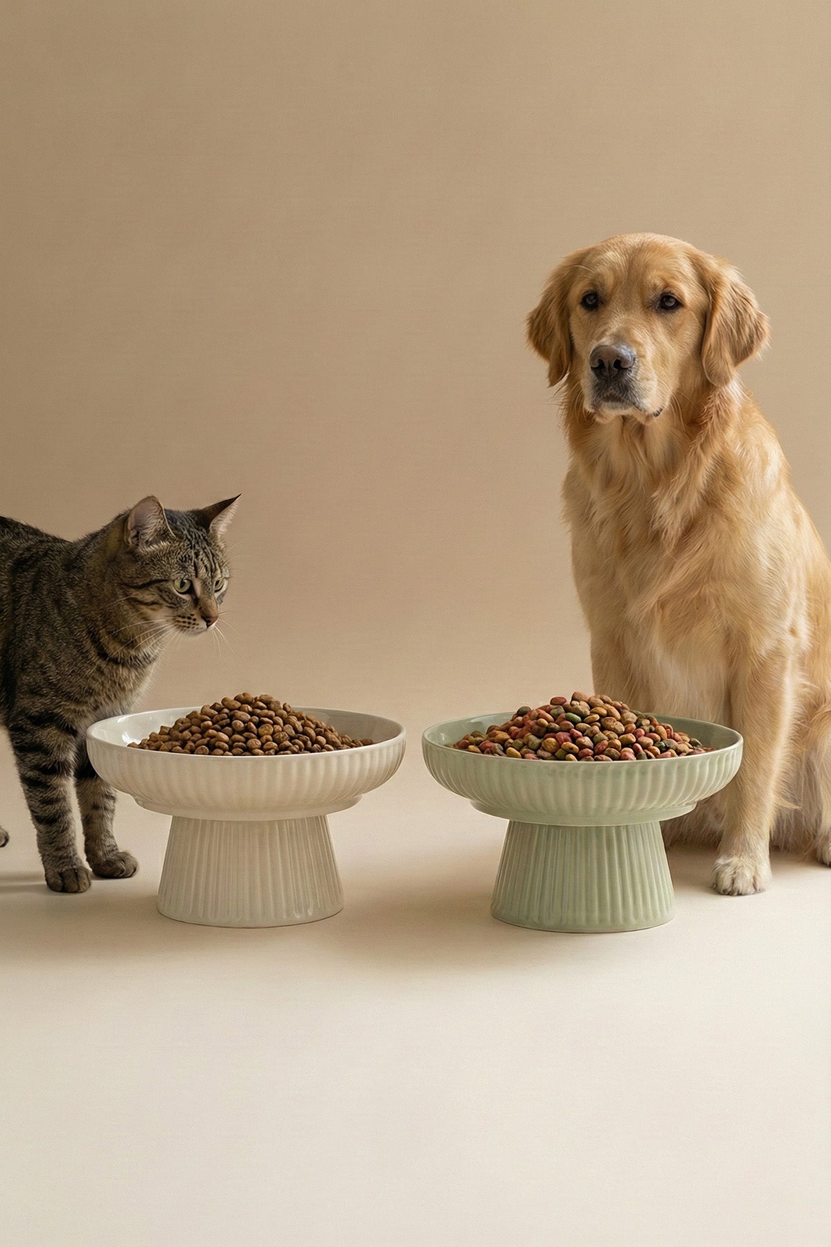 Fluted Ceramic Footed Pet Bowl