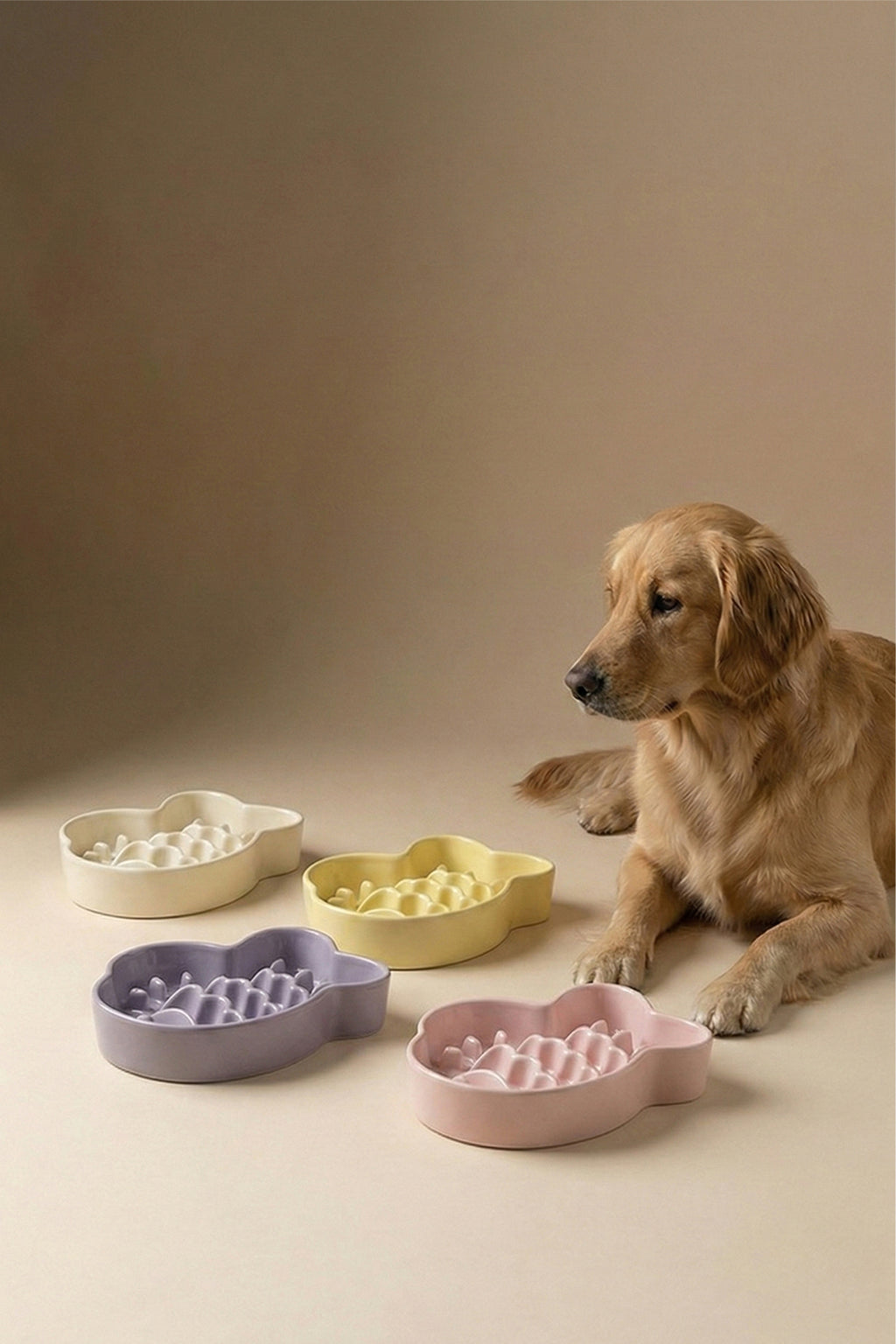 Taiyaki Slow Feeder Ceramic Pet Bowl