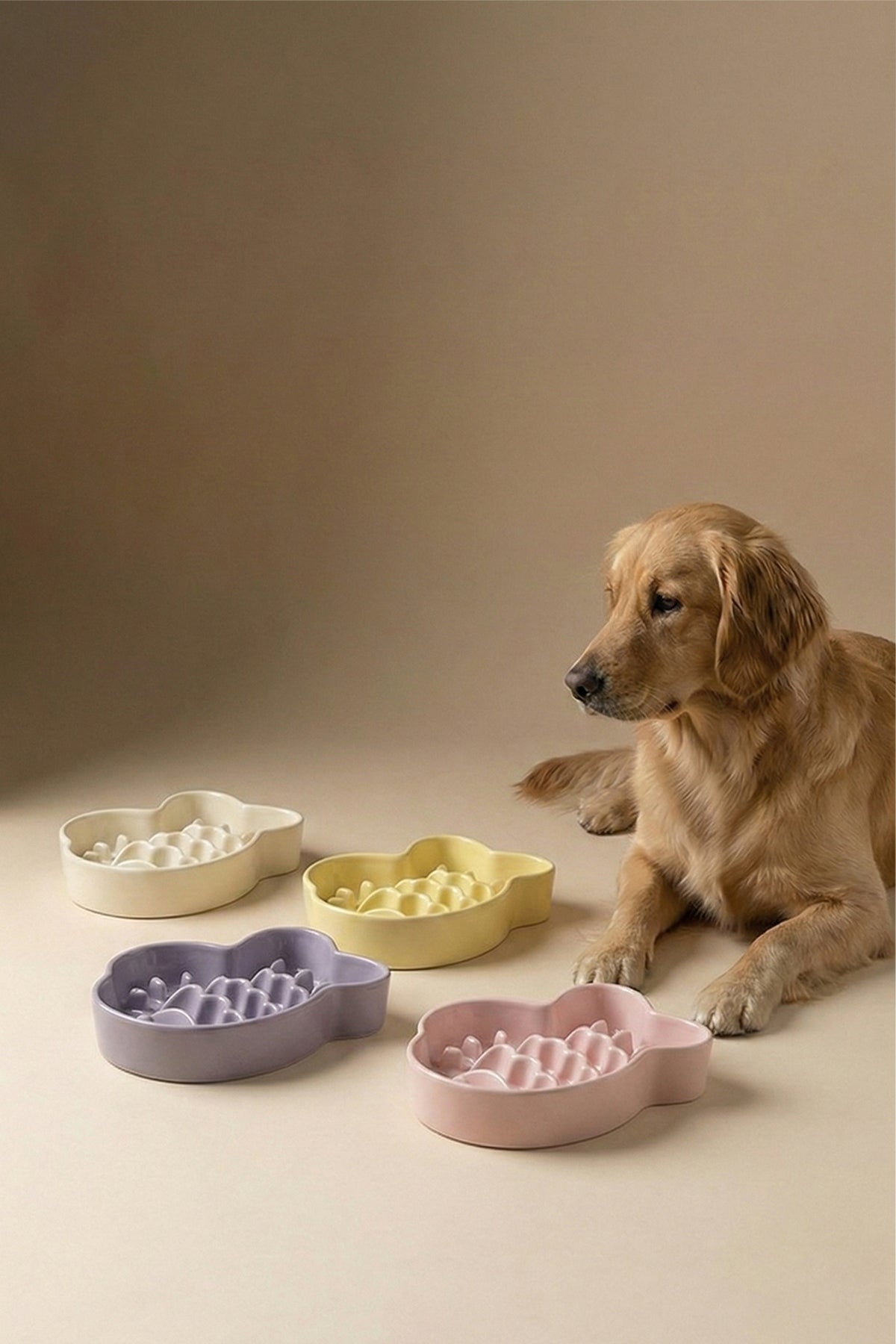 Taiyaki Slow Feeder Ceramic Pet Bowl