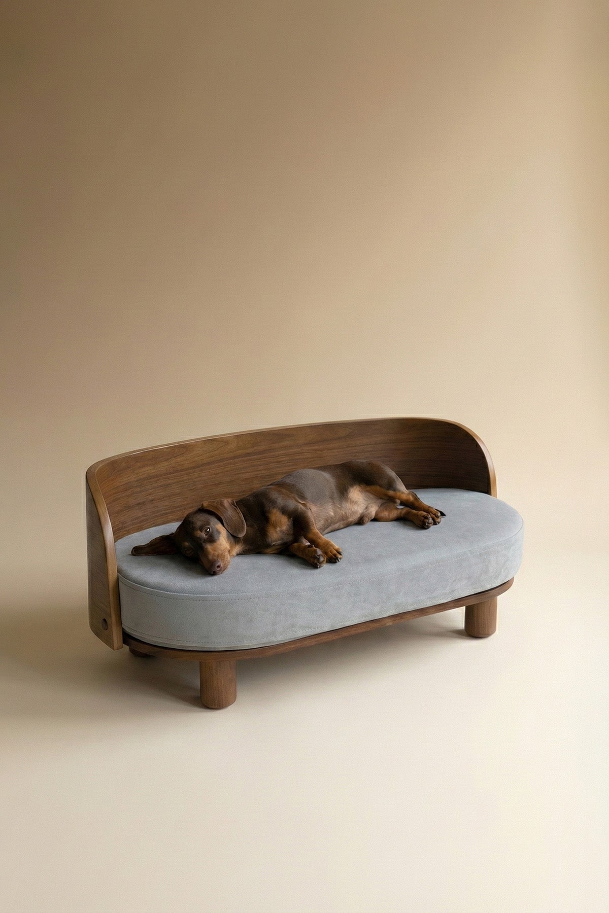 AMI Curve Pet Sofa