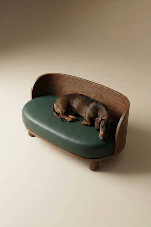 AMI Curve Pet Sofa