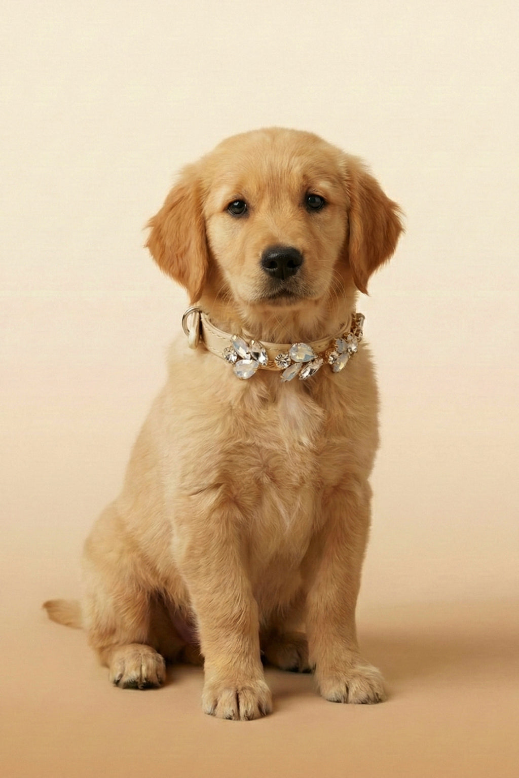 NOBLEHOUND Signature Diamond Leather Collar