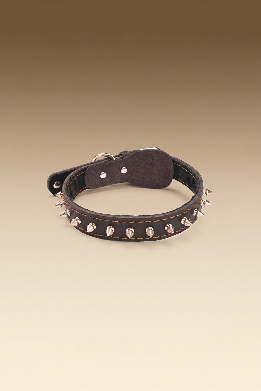 VANTA Leather Collar