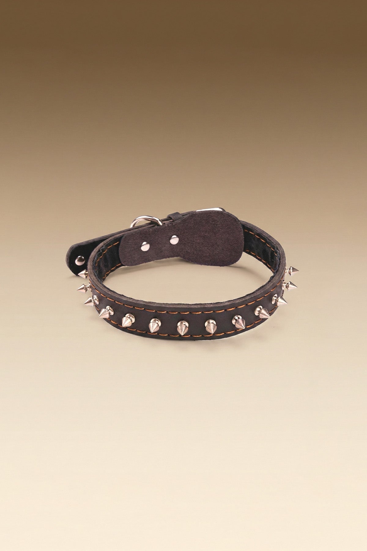 VANTA Leather Collar